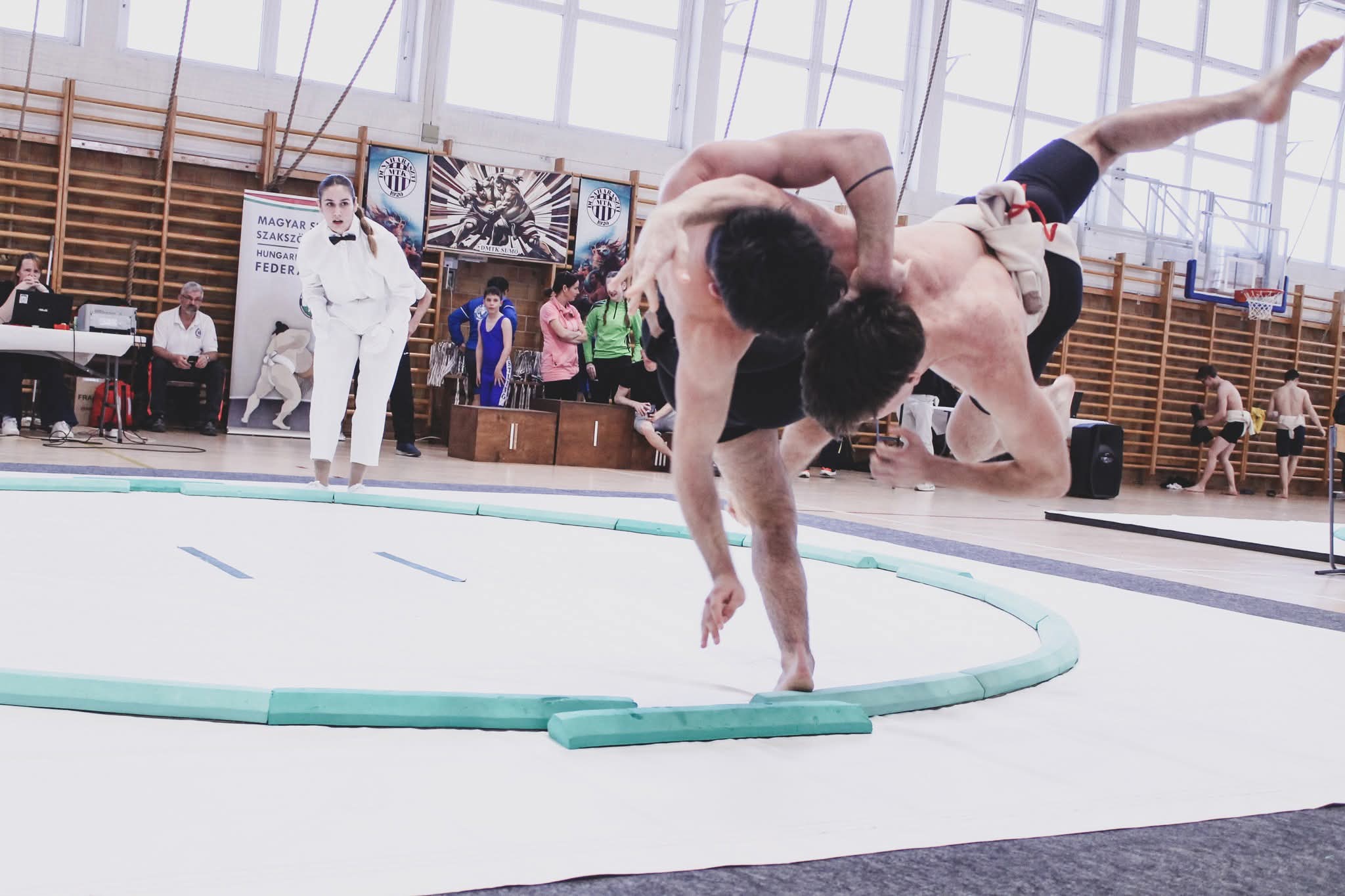 haraszti kupa bajnokokat avattak es format mertek a szumosok