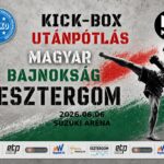 Emelkedő színvonal a kick-box magyar bajnokságon Emelkedő színvonal a kick-box magyar bajnokságon